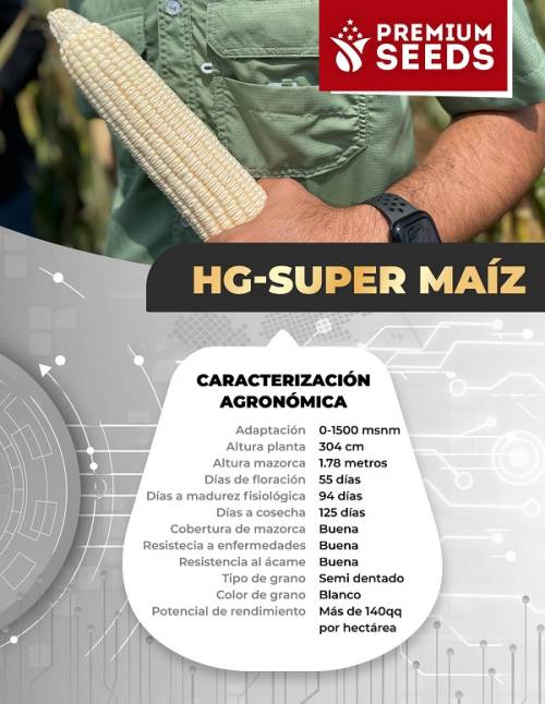 Premium - Super Maiz